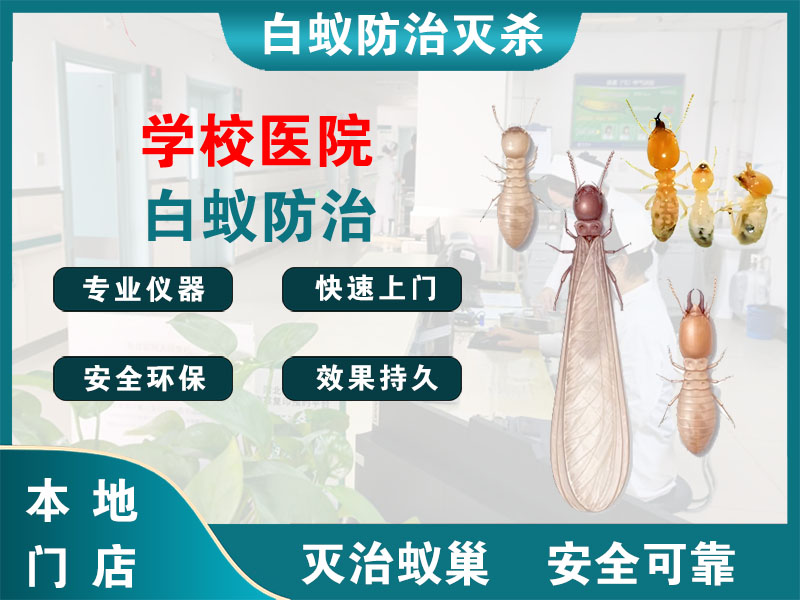 鄞州学校医院白蚁防治