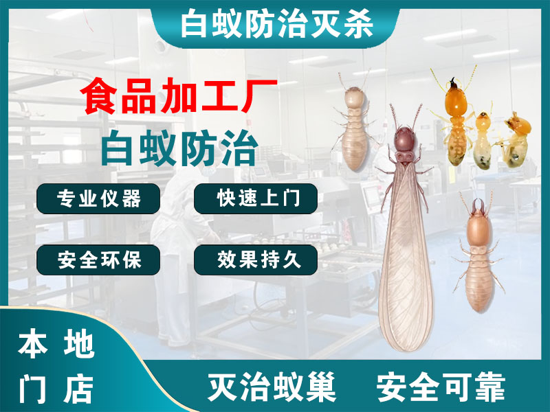 鄞州食品加工厂白蚁防治