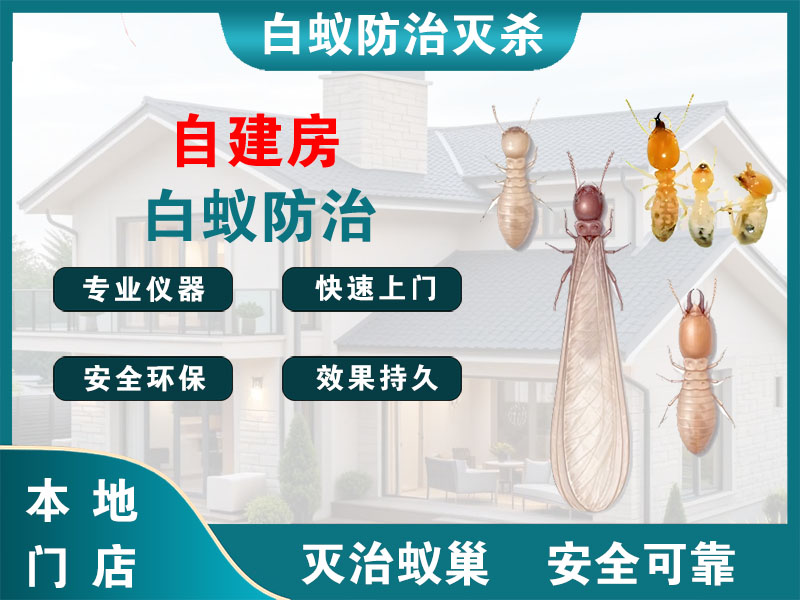 鄞州自建房白蚁防治