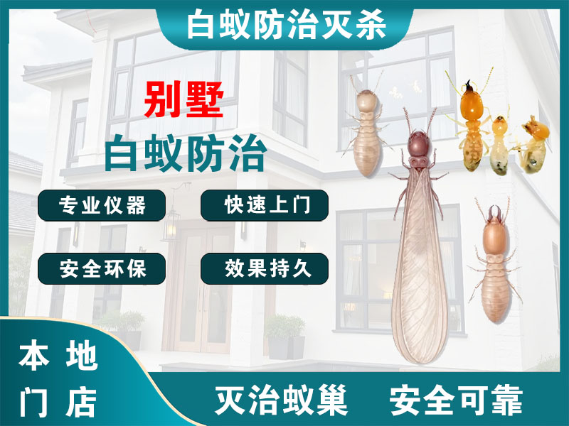 鄞州别墅白蚁防治